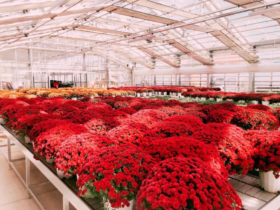 korea, seoul, travel, trip, backpack, botanic garden, wetland, park, nature, green, ecology, greenhouse